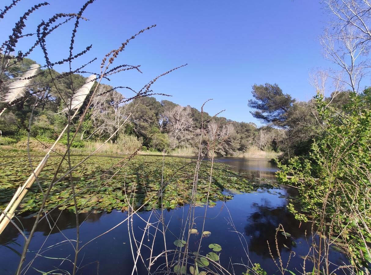 Domaine De La Coudouliere, Vue Mer, Plage, Piscine Et Parc Six-Fours-les-Plages Luaran gambar