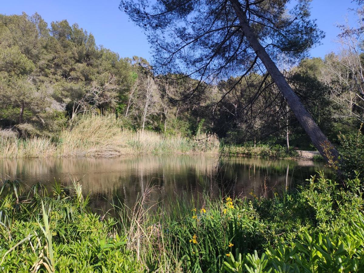 Domaine De La Coudouliere, Vue Mer, Plage, Piscine Et Parc Six-Fours-les-Plages Luaran gambar