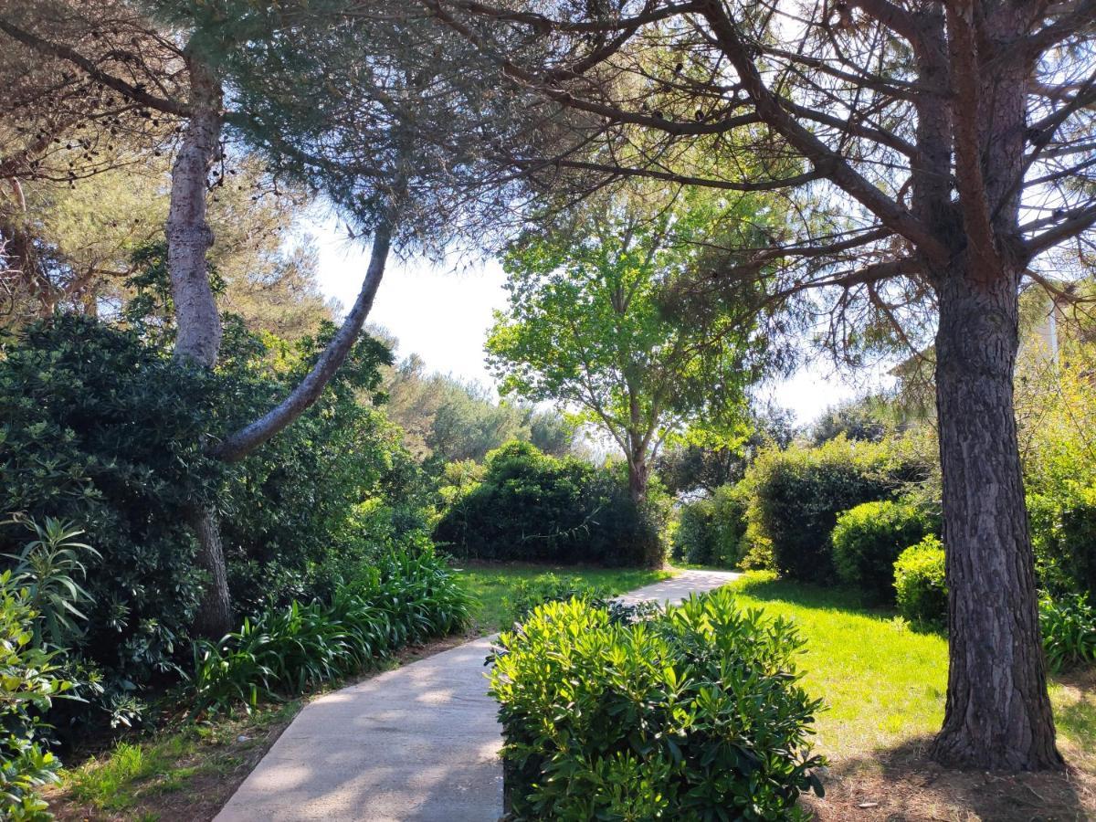 Domaine De La Coudouliere, Vue Mer, Plage, Piscine Et Parc Six-Fours-les-Plages Luaran gambar